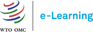 WTO e-Learning Platform